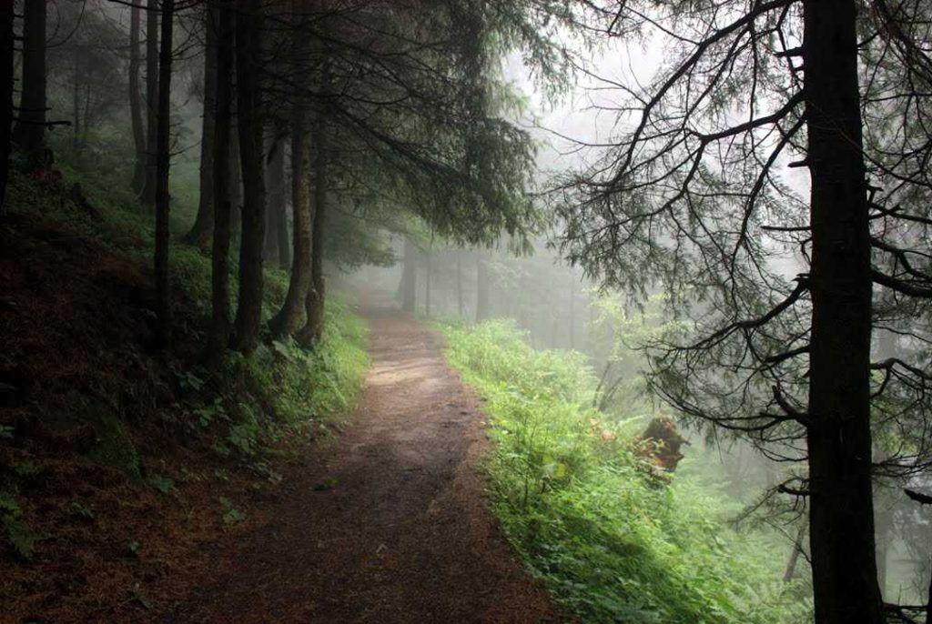 Sightseeing near Hills Luxury